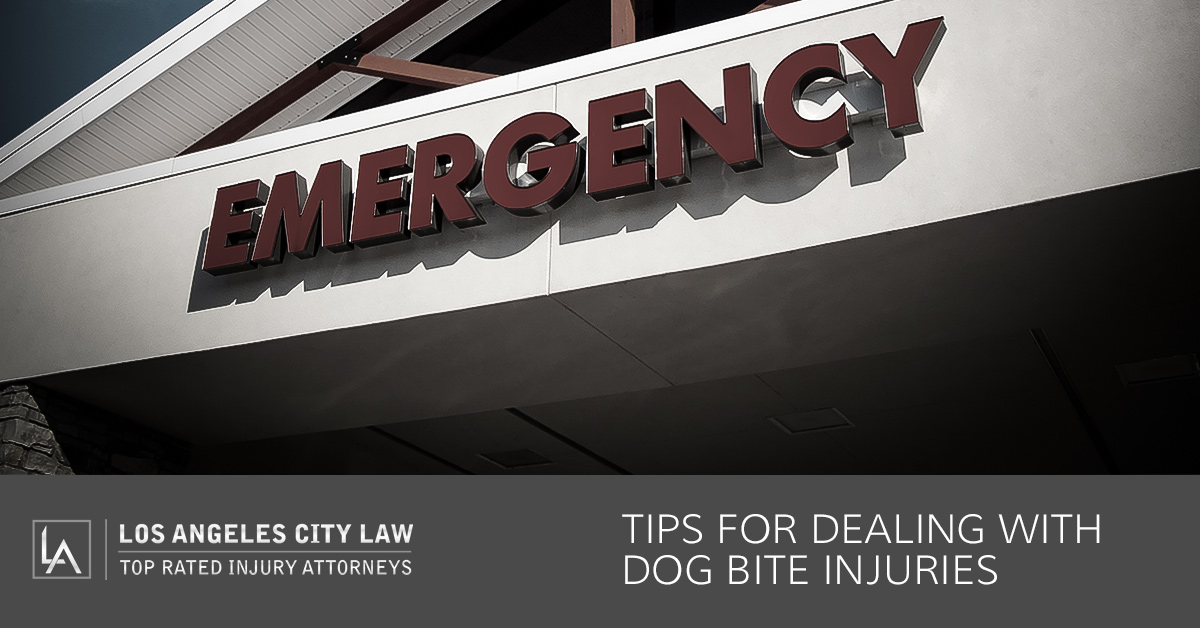 Tips For Dealing With Dog Bite Injuries